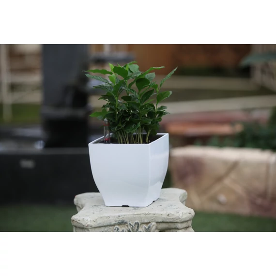 G21 Cube mini virágcserép zöld, 13 cm "külső burkolat