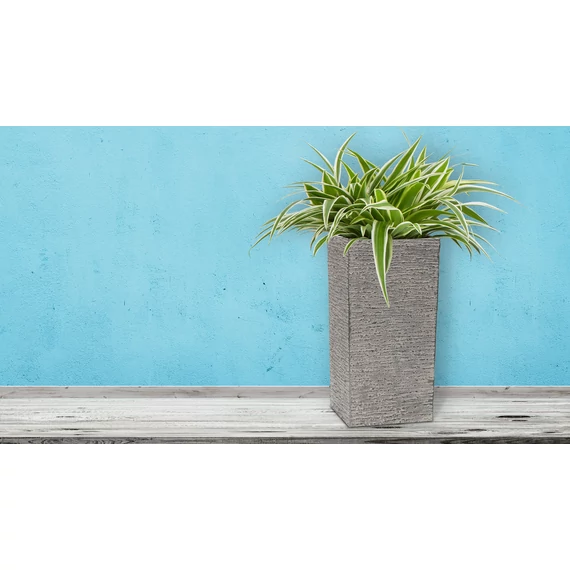 G21 Natur Tube virágcserép 40 x 82 x 40