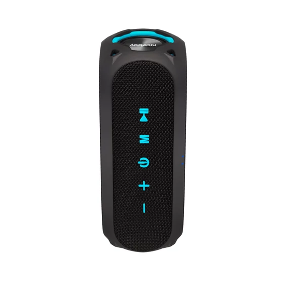 Repro Niceboy RAZE Radion 4
