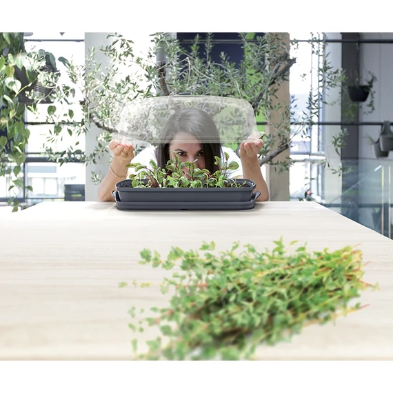Prosperplast RESPANA TABLE GREENHOUSE palántázó antracit 39,1 cm