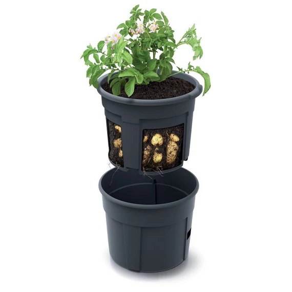 Prosperplast POTATO GROWER kaspó burgonya termesztésre 29,5 cm antracit