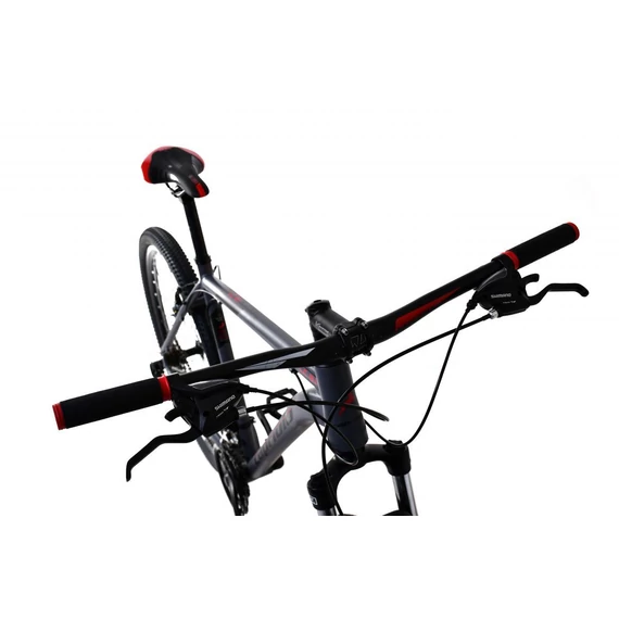 Hegyi kerékpár Capriolo LC 9.1 MTB 29„/21” szürke - piros 2024
