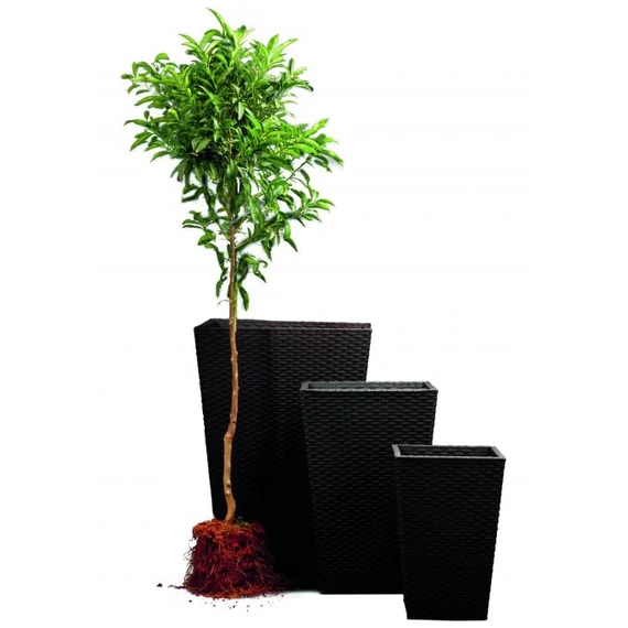 Keter Rattan kaspó S 23,6 l grafit