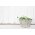 Kép 5/5 - G21 Baltic Bowl virágcserép 42 x 23 x 42