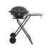 Kép 2/6 - G21 Hawaii elektromos grill