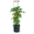 Kép 3/3 - Prosperplast TOMATO GROWER kaspó paradicsom termesztésre 39,2 cm antracit