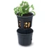 Kép 2/4 - Prosperplast POTATO GROWER kaspó burgonya termesztésre 29,5 cm antracit