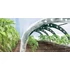 Kép 1/5 - Prosperplast Floo Tunnels fóliasátor 360 cm zöld